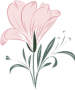 Florist Connect Logo